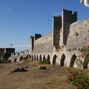 055 - Gotland 2008