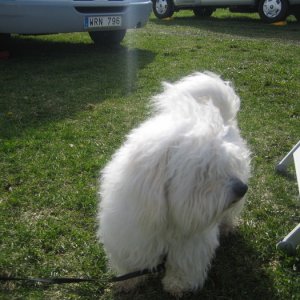 Årsmöteträff Ragglanda 2008