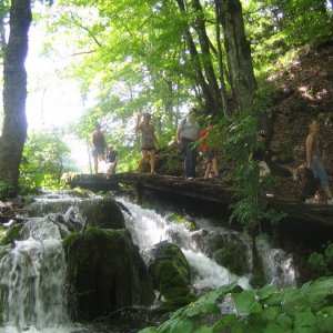 Kroatien 2008