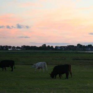Rugen Och Utsikt Från Vår Camping