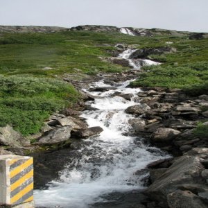 Röldal/odda/geiranger/trollstigen