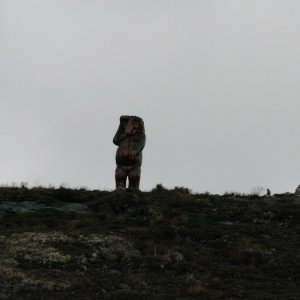 Röldal/odda/geiranger/trollstigen