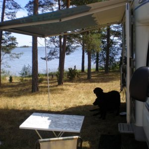 Sommar 2008