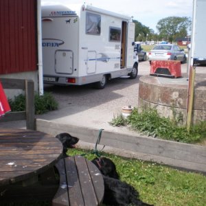 Sommar 2008