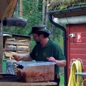 Ädelfors