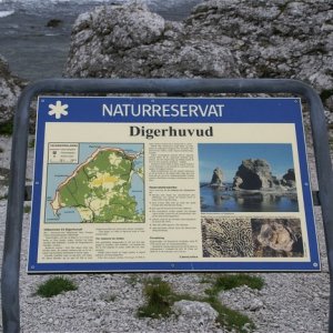 Digerhuvud Fårö