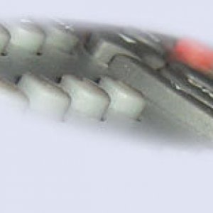 Vadv839