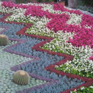 Vackra Blomster-08