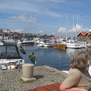 Knippla 2008