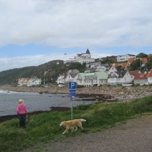 Mölle I Skåne 2008