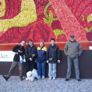 Äppelträffen I Kivik 2008