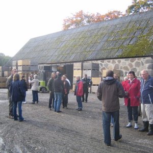 Äppelträffen I Kivik 2008