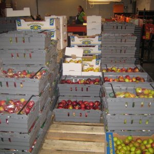 Äppelträffen I Kivik 2008