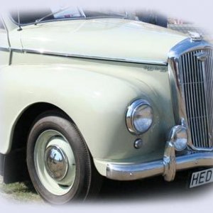 Bilv842