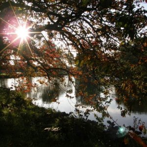 Simrishamn Oktober -08