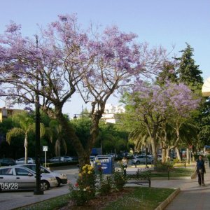Fuengirola 003