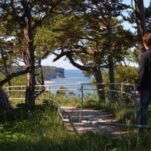 Gotland