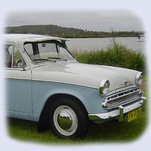 Bilv846