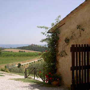 Resan Till Italien Juni 08 23