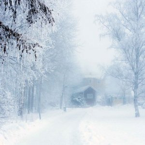 Vinterbilder