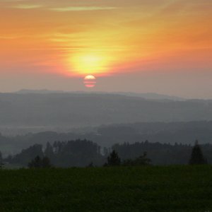 Ytterligare Bilder