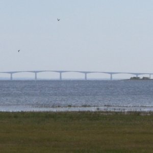 Cimg0805