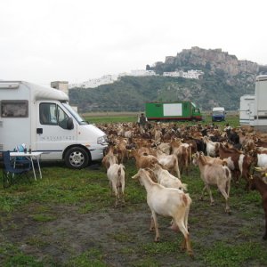 Spanien