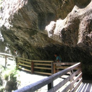 Semester 2008