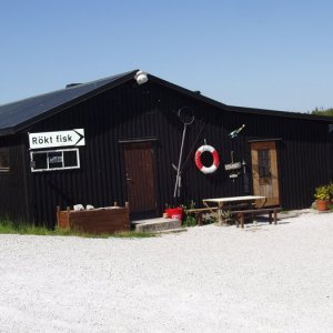 Lergrav Gotland 08