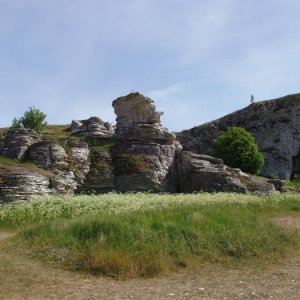 Hoburgsgubben 2008-05-31