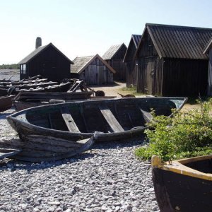 Fårö 08