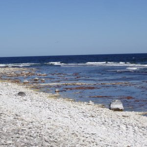 Fårö 08