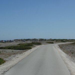 Fårö 08