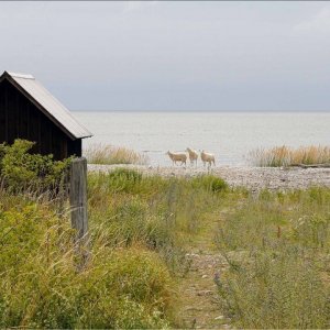 My Pictures 2686 Redigerad 1