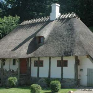 197 Mön