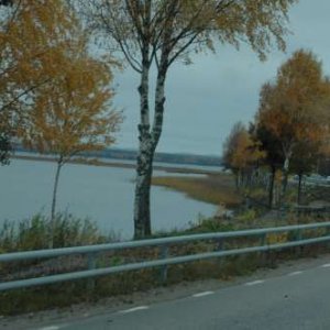 233 Husbilsresa