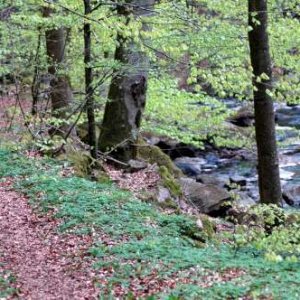 261 Husbilsresa