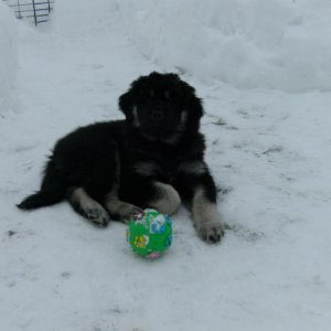 Iza Ute I Snön På Baksidan  3mars-09