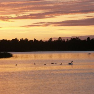 Åland 2008