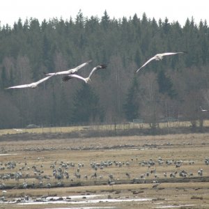 341 Träffar I Aprill