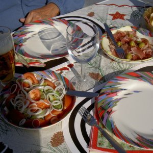 Övervintrresa2, 2008-2009