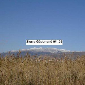 Övervintrresa2, 2008-2009