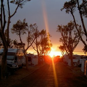 Övervintrresa2, 2008-2009