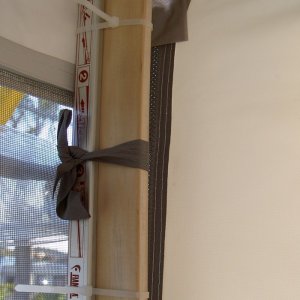 Övervintrresa2, 2008-2009