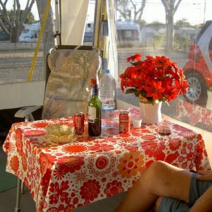 Övervintrresa2, 2008-2009