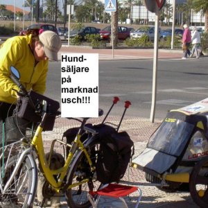 Övervintrresa2, 2008-2009