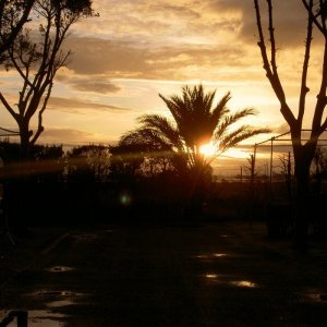 Övervintrresa2, 2008-2009