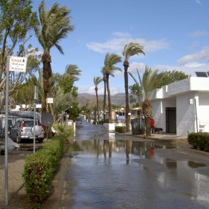 Övervintrresa2, 2008-2009