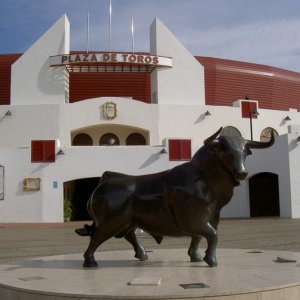 Övervintrresa2, 2008-2009