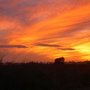 Övervintrresa2, 2008-2009